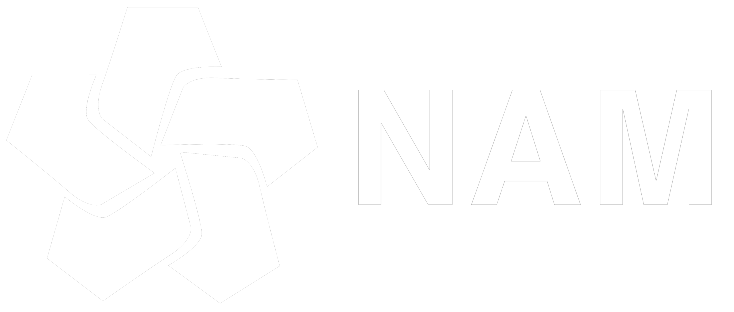 nam-logo-png-transparent